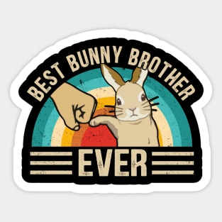 Best Bunny Brother Ever T-Shirt, Big Brother Shirt, Big Brother T-Shirt, Big Bro Shirt, Baby Announcement, Brother Bunny Sticker